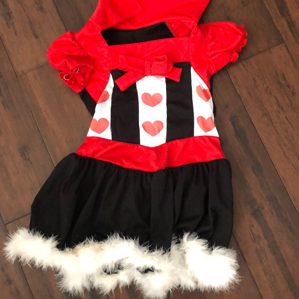 Girls costume
